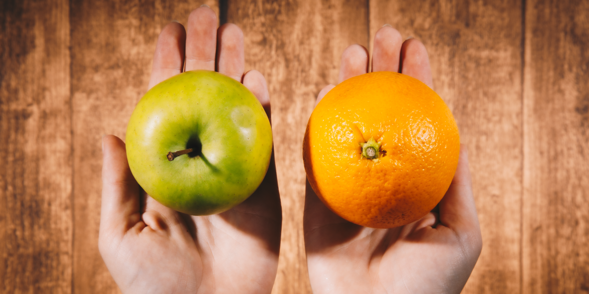 Alloya Corporate Invests In Neural Networks Real-Time Network Comparison - Alloya Insights