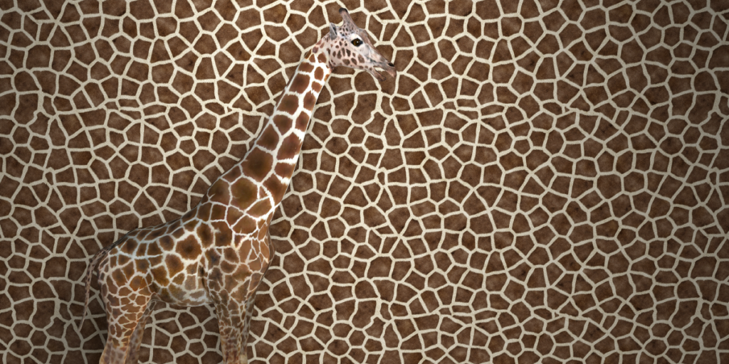 Camoflaged giraffe image